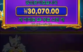 100배 한번 먹어보고 싶은데..