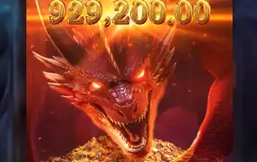 92콩 대박 터짐 ㅅㅅ