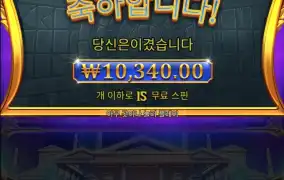 올림푸스1000 다이스