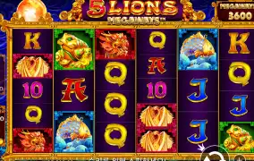 오케이카지노(언젠간 되겟지!!!)