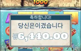 빅배스스플래시