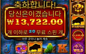 까비 두번째는 안주네