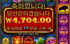 자기전 스템피드 돌린다..