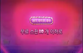 슈가1000