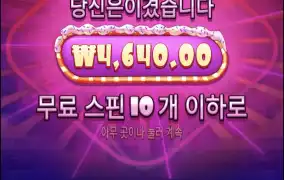 슈가1000