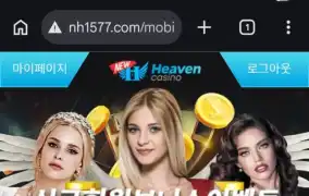 뉴헤븐후기