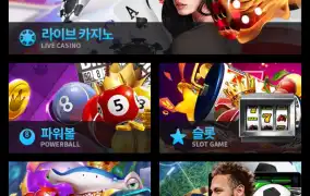뉴헤븐후기
