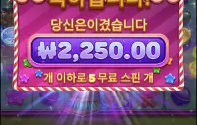 젤리익스프레스