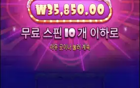 슈가1000