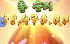 피지왕비