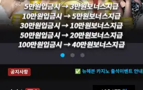 뉴헤븐후기