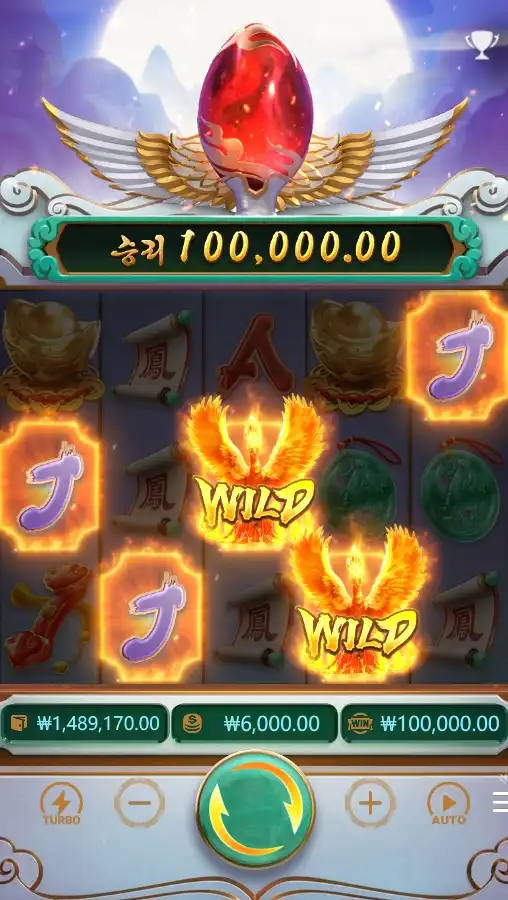 202605140002478PhoenixRises.png
