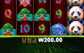 뉴헤븐