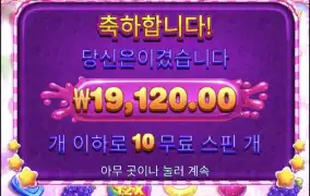 스위트보난자2500