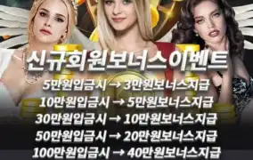 뉴헤븐후기