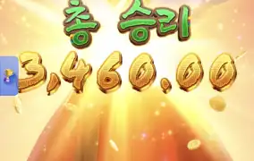 피지왕비2