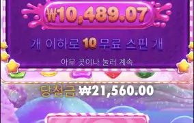 스위트보난자2500