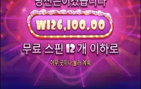 슈가1000