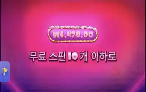 슈가1000