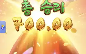 피지왕비