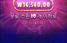 슈가1000