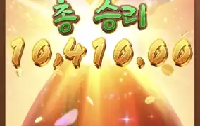 피지왕비