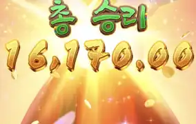 피지왕비