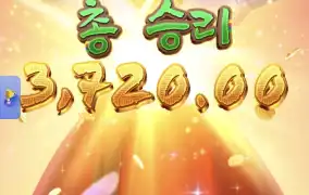 피지왕비