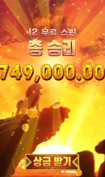 202605261637193사파리와일드.png