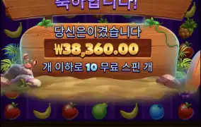 와일드비치파티