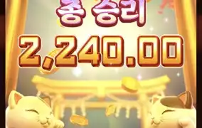 피지 네코
