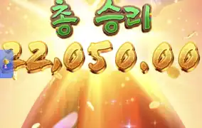 피지왕비2