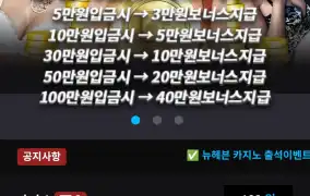 뉴헤븐후기