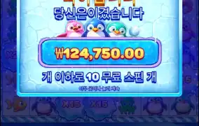 스노우파티