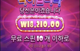 슈가1000