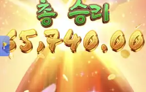 피지왕비