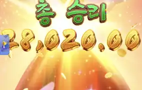 피지왕비2