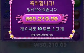 스위트보난자 스캐터