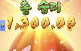 피지왕비2