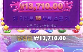 보난자2500