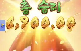 피지왕비