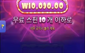 슈가1000