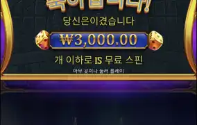올푸다이스