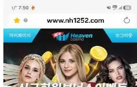 뉴헤븐 후기
