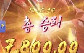 피지게이샤