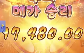 피지오이시바닥