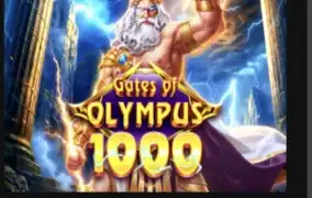 올프 1000