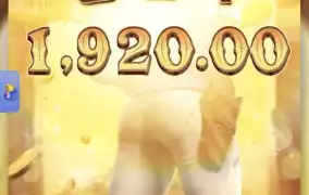피지바운티