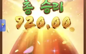 피지왕비