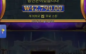올푸1000 2